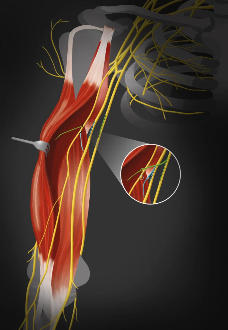 Universitätsklinikum Regensburg